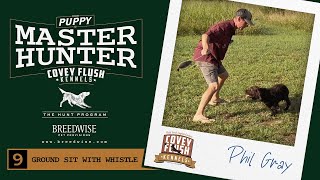 From Puppy To Master Hunter! | S1.E9 | Ground Sit With Whistle |