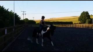 Moo flat work