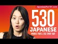 530 Japanese Words You'll Use Every Day - Basic Vocabulary #93