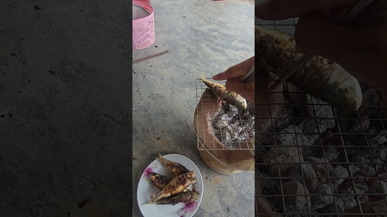 Thầy quang - Món ăn - Cá ngựa chấm muối é #thayquang