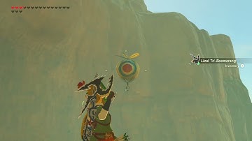 [DAY 666] of finding one korok seed everyday until Totk comes out