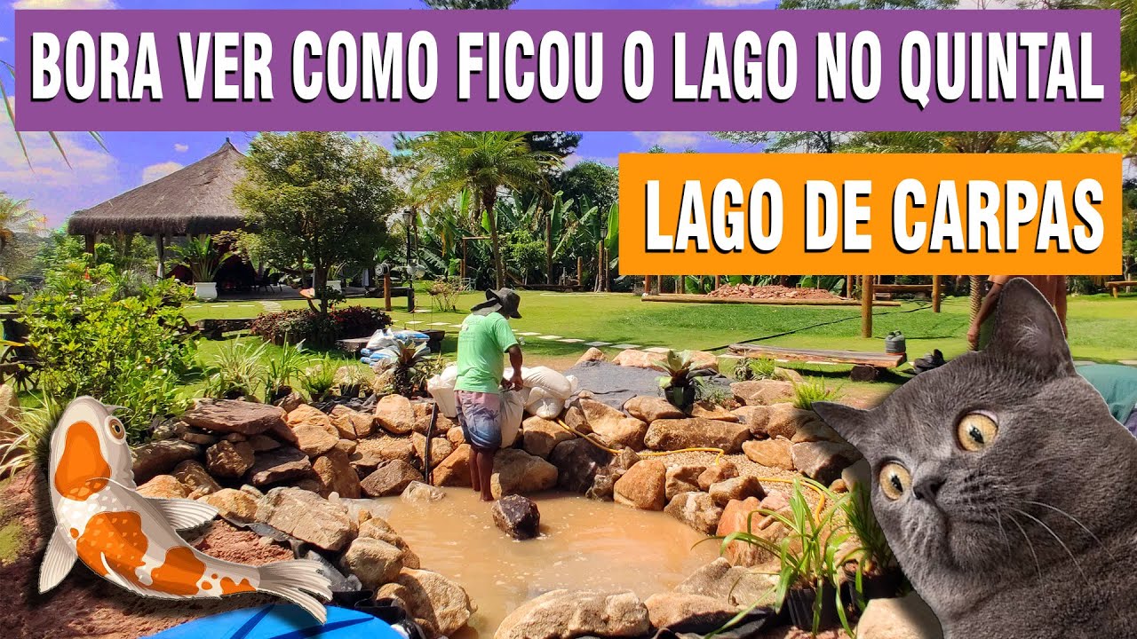 LAGO DE CARPAS NO QUINTAL