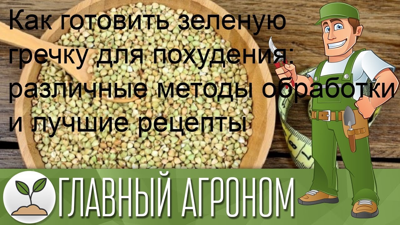 Как готовить зеленую гречку для похудения: различные методы обработки и ...