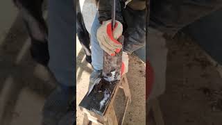 Cleaning horse hooves is so satisfying