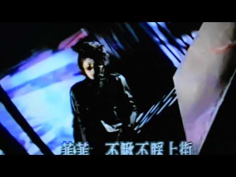 流閪閪（流菲菲）
