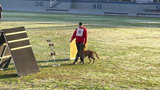 Ice Ot Vitosha DVG 2021 Obedience