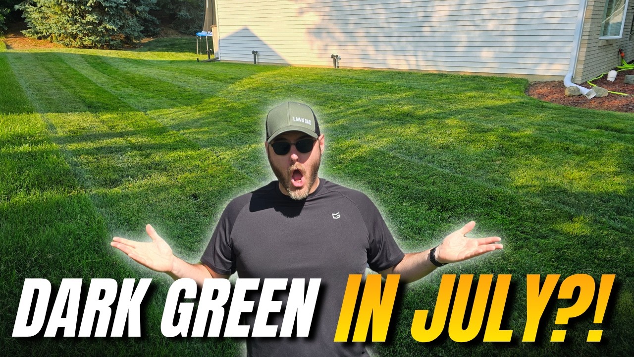 This Fertilizer Saved My Lawn During the Worst Summer Heat! #lawncare #diy #howto