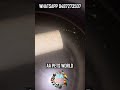 நீல நிற Polar Parrot குட்டிகள் உடன் #shortvideo #viralshort #shorts #shortstory #guppy