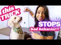 How to FIX 90% of Behavior Problems 😱! (seriously) Try THIS with your dog or new puppy ASAP