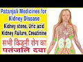 kidney expert: How to treat IgA nephropathy with creatinine 7.7