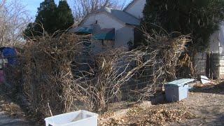 Neighbor wants county to clean 'junkyard' house