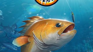 GAME KAIL PANCING 3D (Part 1)mantap jiwa, mancing mania