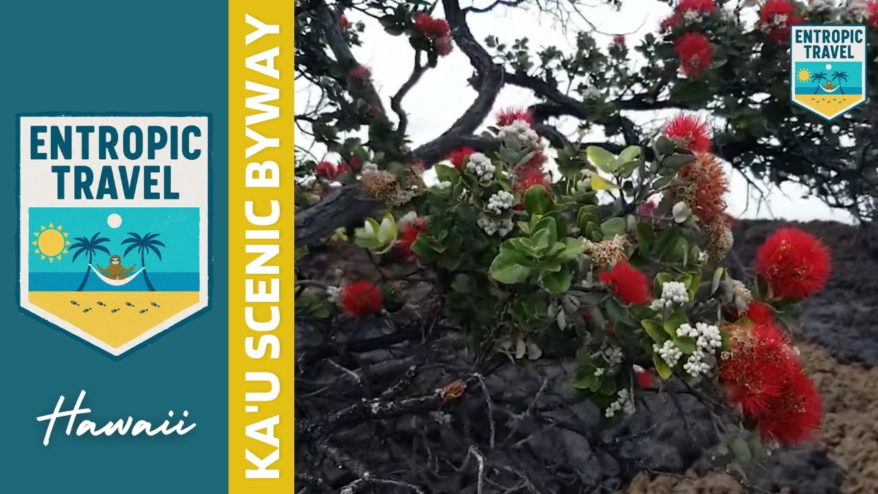 Exploring Kaʻū Scenic Byway, Hawaii | Lava Fields, Pele Legends & Big Island POV Drive