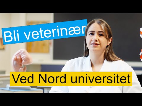 Video: Hvordan Bli Veterinær