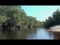 Satilla River Property - Carter Group Real Estate