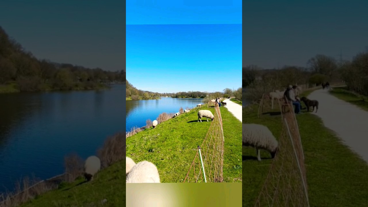 Deutschlands schönste Landschaften 📷 Landschaftsfotografie Dokumentation