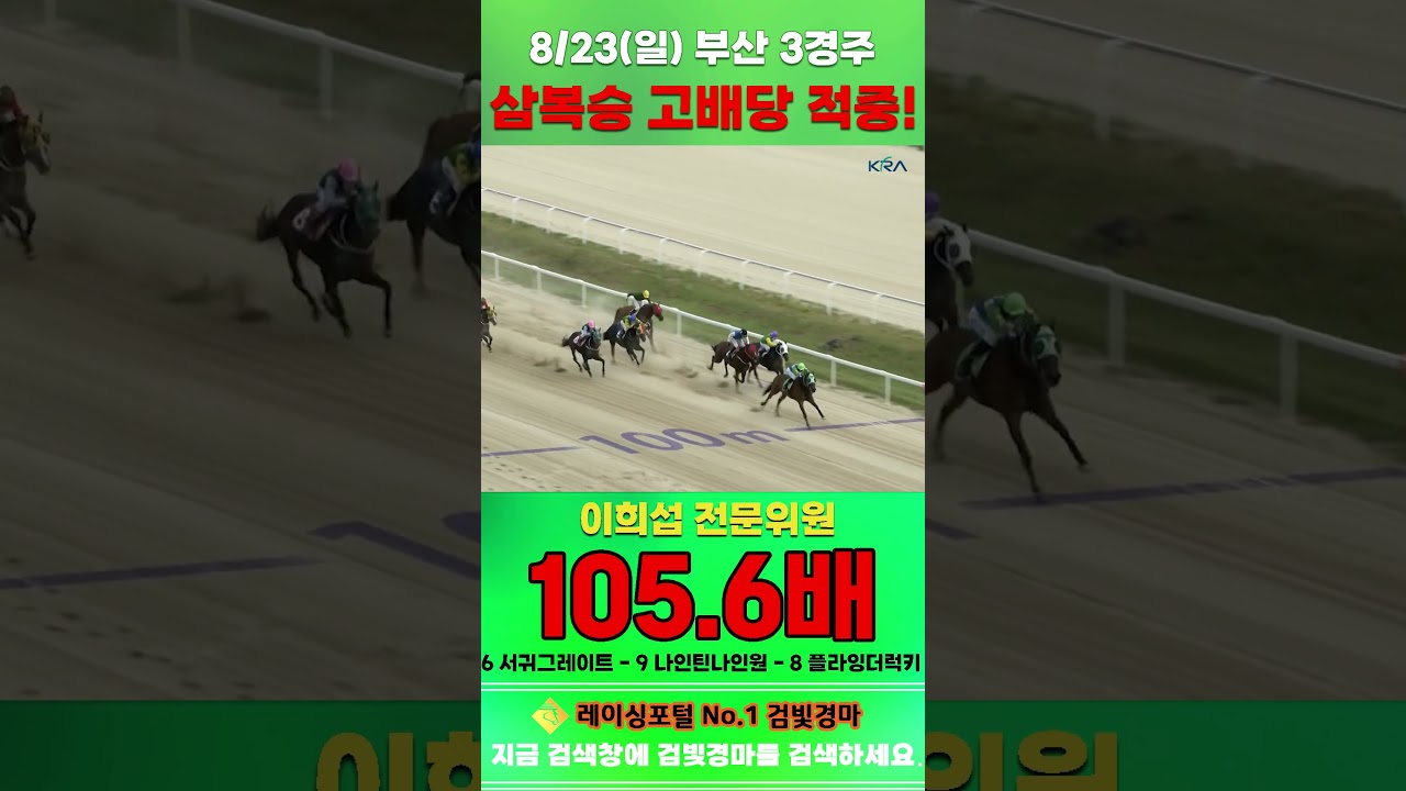 [부산 경마] 8월 23일 일요 3경주 이희섭 전문위원 삼복승 고배당 적중 #경마 #horse #한국마사회 #automobile #하이라이트 #riding #게임 #korean