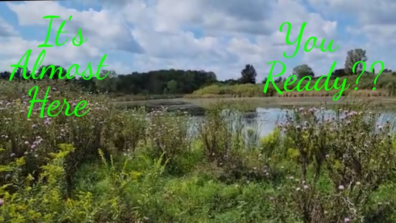 Public Land Teal Season Prep