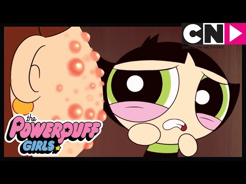 Powerpuff Girls | Powerpuff Girls Go To Big School | Cartoon Network