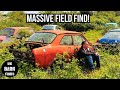 Barn find rescue  massive field find