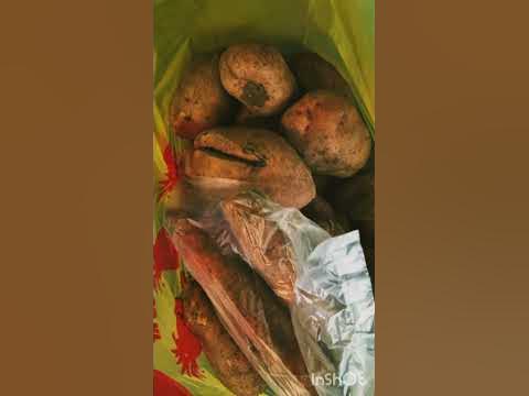 #shorts ЗА КАРТОШКОЙ В ПОГРЕБ/ КОТЛЕТЫ НА УЖИН - YouTube