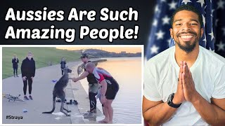 Kangaroo Shake Hands With Humans After Being Saved (Australia) | American Reacts
