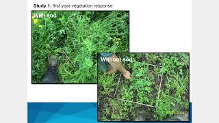 Site Preparation and Vegetation Management in Reclamation - Part 2