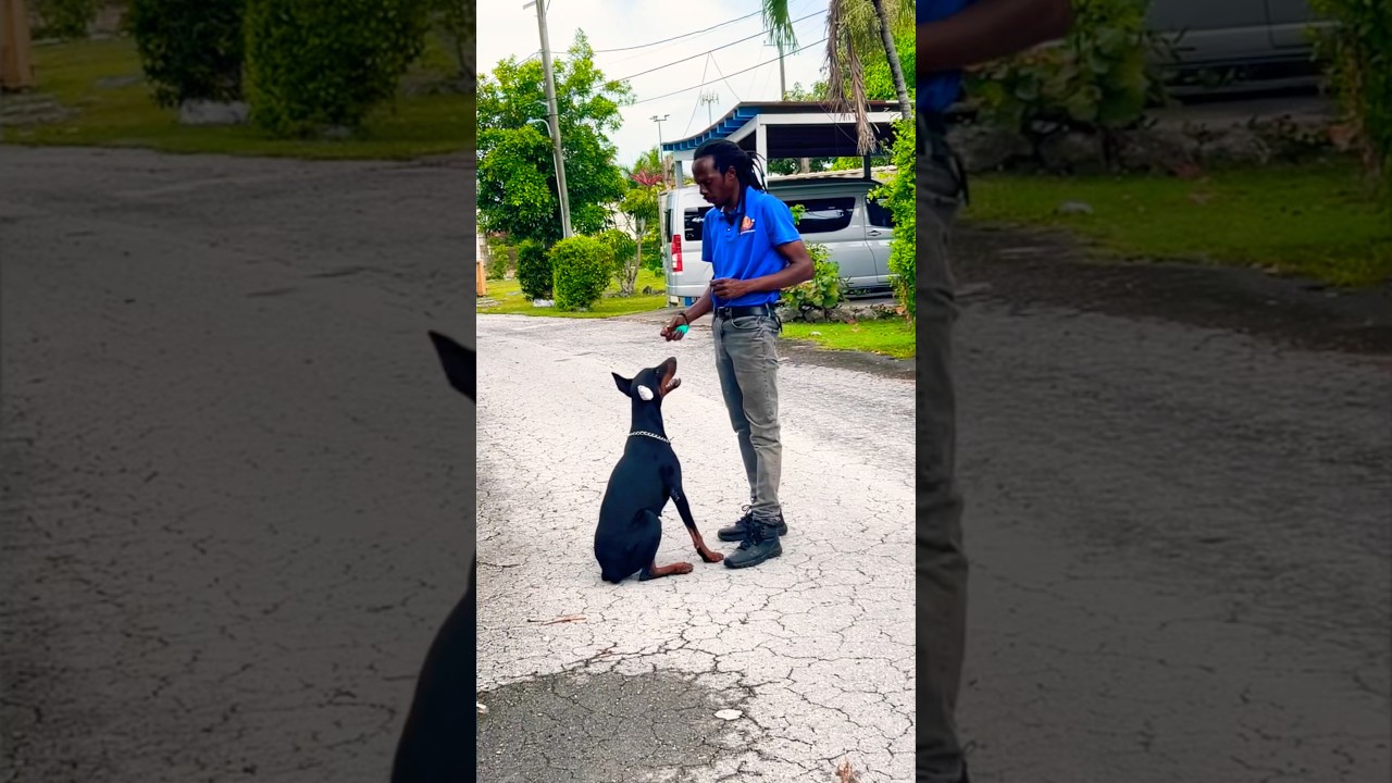 Negative Reinforcement