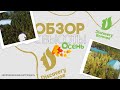 DISCOVERY BOROVOE - ОСЕННИЙ ОБЗОР С ВЫСОТЫ ПТИЧЬЕГО ПОЛЕТА (НОЯБРЬ 2024)