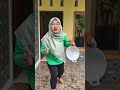 monyet bawa telor pecah semua #funny #shorts
