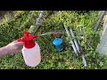 Round up weed killer alternative replacement diy