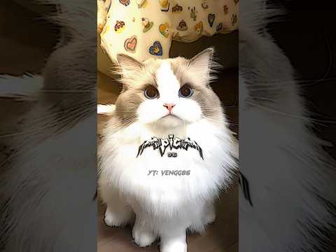 Nina🗿🍷#capcut #prime #nina #pocoyo #sergioramos #footballedits #youtubeshorts #edit