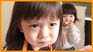 【ちびっこモッパン😍】クッキーもぐもぐ🍪【Tik Tokプレゼンツ】