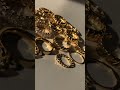 Stylish Gold Plated Chunky Ring | Trendy Stainless Steel Ring
