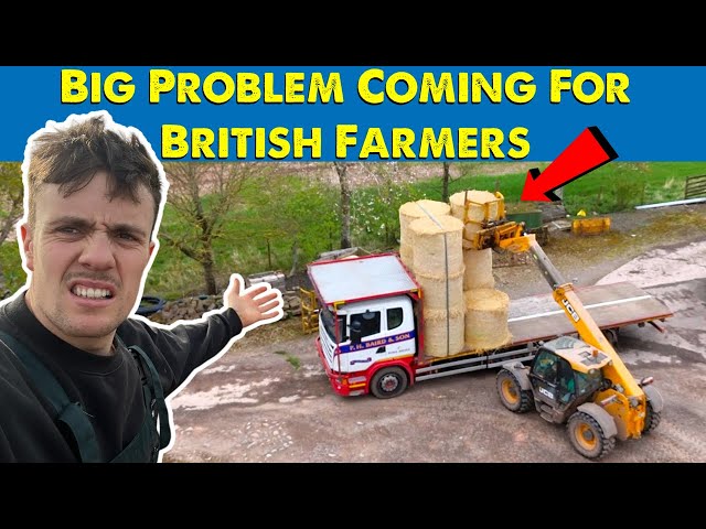 High Straw Prices Are Here To Stay For British Farmers class=