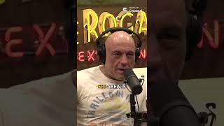 ROGAN ON THE STRANGE THOMAS CROOKS INVESTIGATION
