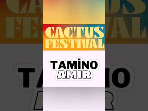 Tamino/Habibi live.