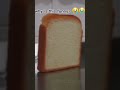 fr, why? #funny #memes #funny #fyp #comedy #fypシ゚viral #bread #donaldtrump #sad