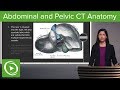 Normal Abdominal & Pelvic CT Anatomy: Algorithm – Radiology | Lecturio