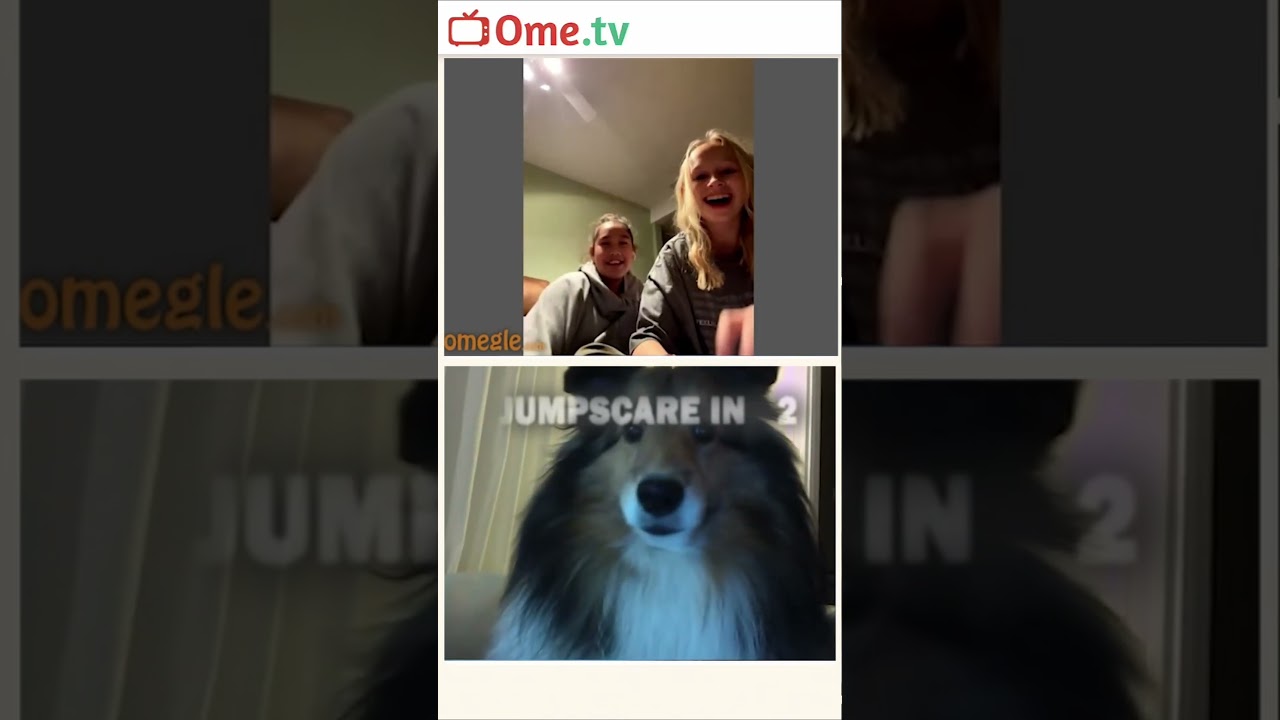 BRO WAS FLABBERGASTED!! (OmeTV) 