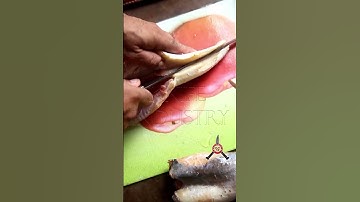 "Finesse Unleashed: Exploring Culinary Precision with Supreme Fillet Knives!"