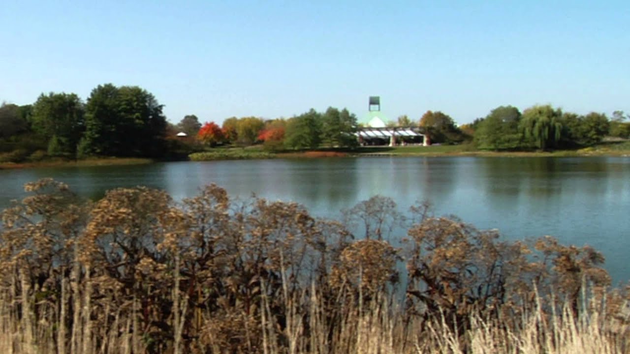 Illinois Regional Videos: Chicago & Beyond