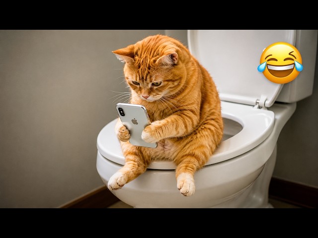 絶対笑う」今年いちばん笑える動物たち🤣 - YouTube