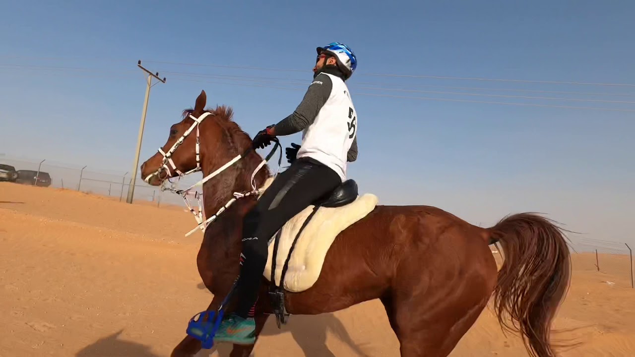 التأهيلي الخامس بالخالديه ٢٠٢١للقدره و التحمل