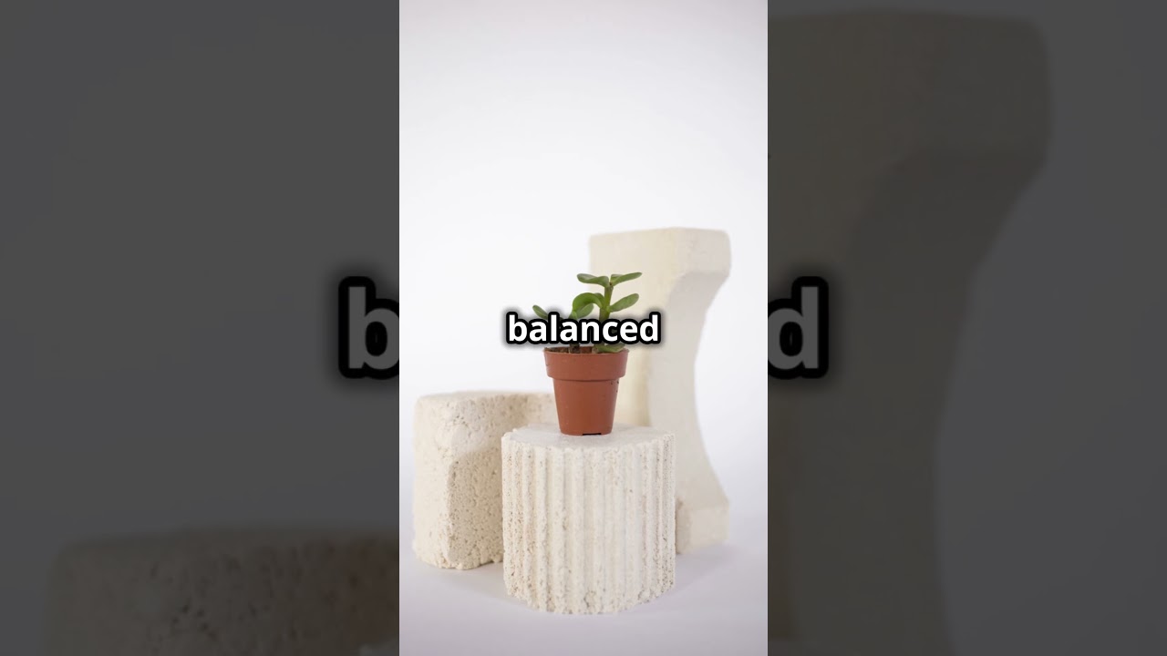 Grow Your Jade Plant 3x Faster! 🌿 