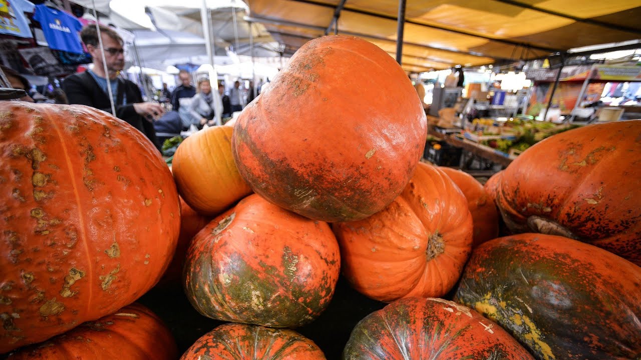 beneficios de la calabaza blanca para la diabetes beneficios de la calabaza blanca para la diabetes