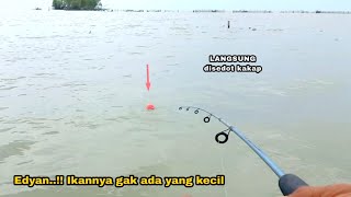 Download Lagu Edyann..!! Gak ada ikan kecil yang makan umpan || Mancing kakap putih (Barramundi) MP3 Download Lagu Edyann..!! Gak ada ikan kecil yang makan umpan || Mancing kakap putih (Barramundi) MP3