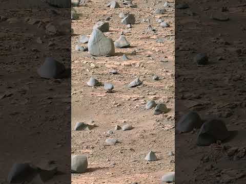 A Scratched Rock