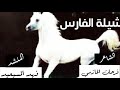 شيله الفارس المنشدفهدالمسيعيدكلمات الشاعر فرحان الحازمي 