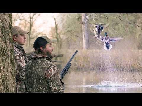 Hunting Mallards and Woodies in Flooded Timber!
